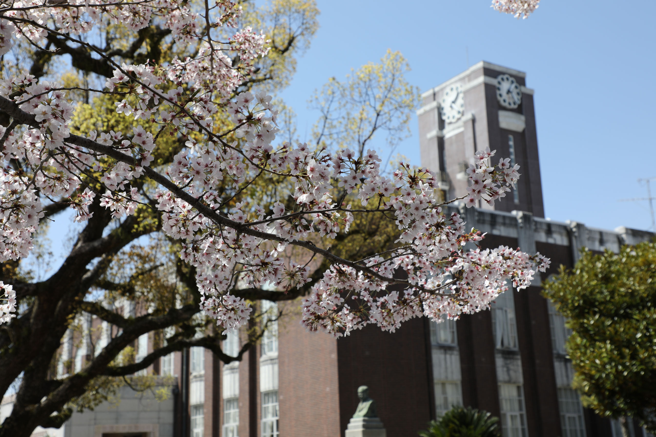 京都大学同窓会メインビジュアル1